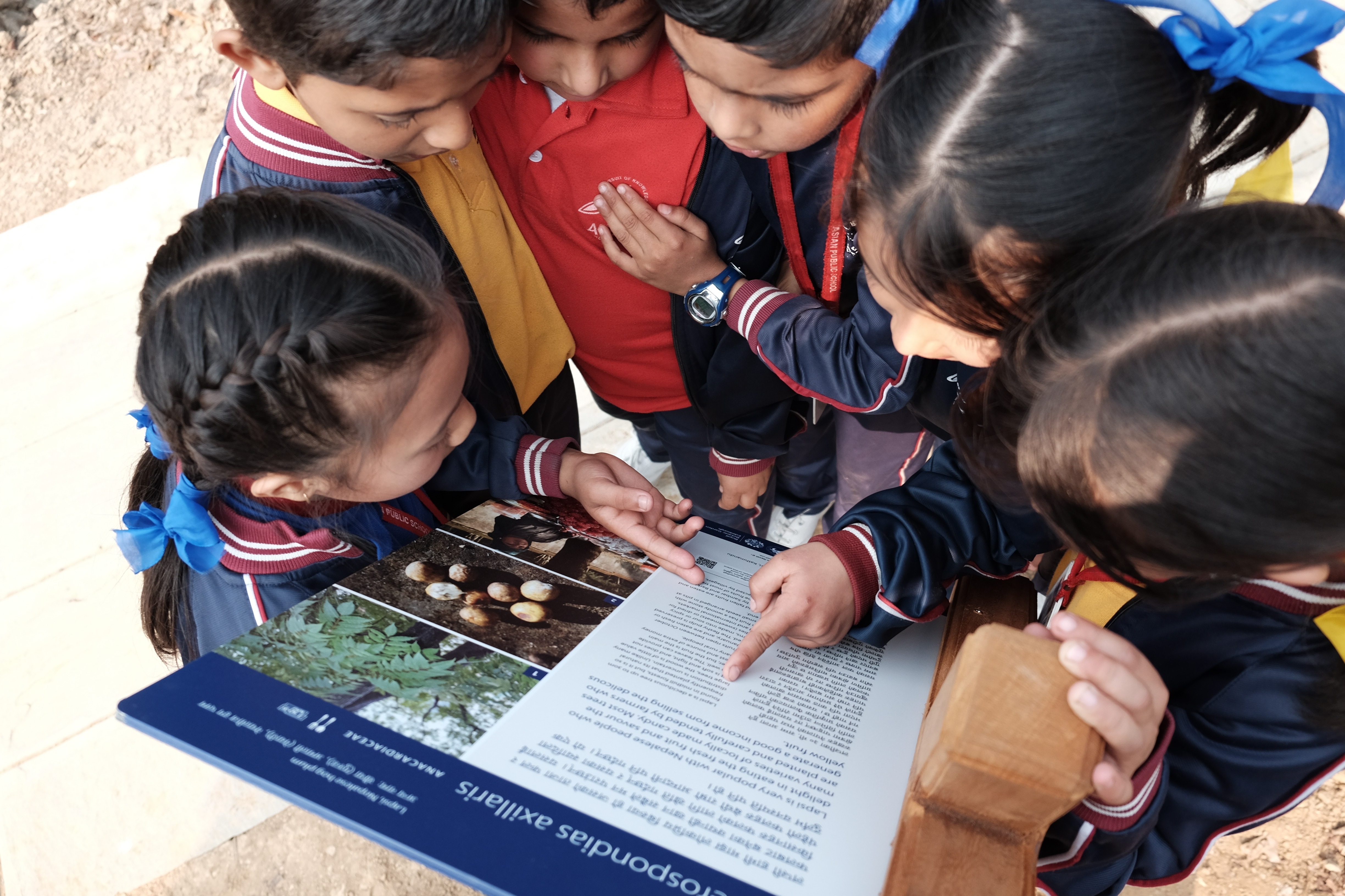 Nepal School Children reading panel