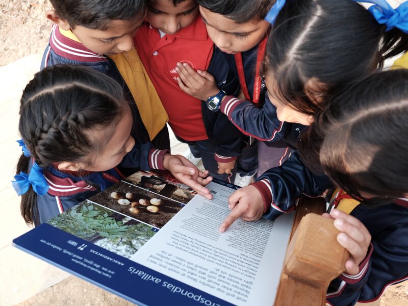 Nepal School Children reading panel